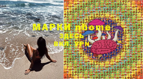стаф Белоозёрский
