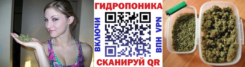 купить  сайты  Отрадное  Канабис MAZAR 