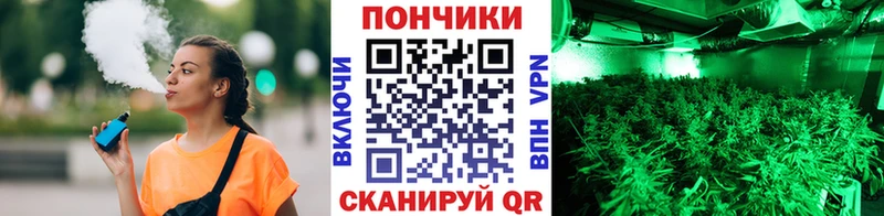 Конопля Bruce Banner Отрадное